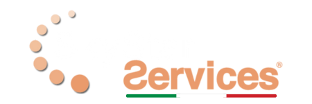 Logo Sky Star Services